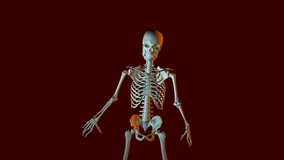 Dancing Skeleton Animation