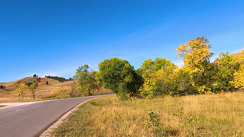 Custer State Park Wildlife Loop South Dakota