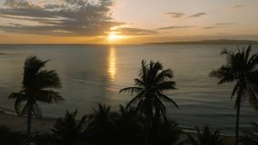 Sunset framed by palm trees with its golden light reflecting on calm ocean waves. Santa Fe, Tablas, Romblon, Philippines. - Powered by Shutterstock - Get 15% off with code: PIKWIZARD15