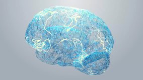 Futuristic 3D Brain Animation with Glowing Neural, Electric Pulses and Data Nodes. Modern Concept for AI, Tech, Innovation, Neuroscience and Digital Intelligence. Abstract Science Bright Background 4k - Powered by Shutterstock - Get 15% off with code: PIKWIZARD15