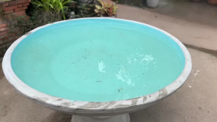 Calm water in round concrete bowl reflecting sky and garden in outdoor setting