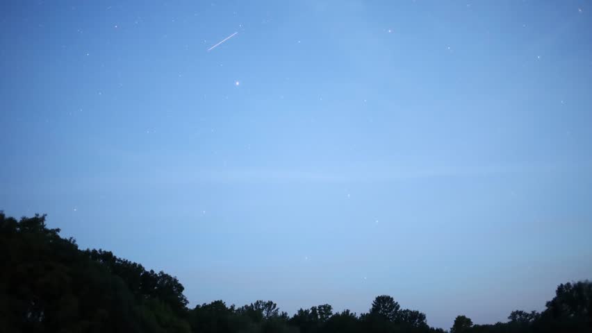 Starry night sky gradually transforming as more stars emerge above a dark forest silhouette