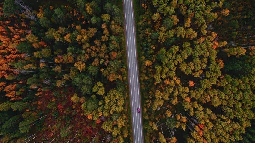 Aerial journey through autumn forest with winding road and moving red car, relax trip concept.