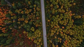 Aerial journey through autumn forest with winding road and moving red car, relax trip concept. - Powered by Shutterstock - Get 15% off with code: PIKWIZARD15