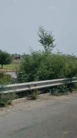 A beautiful view of lush green Pakistani villages alongside Motorway.