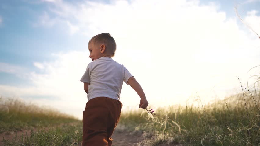 A boy walking through tall grass. A toddler is walking on a path in the grass outside. Young male exploring nature with his child in the sunshine. A young boy strolling through high lifestyle grass.