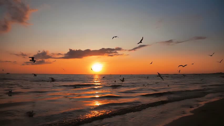 An idyllic tropical beach at sunset, with golden light reflecting on the waves and numerous birds flying across the vibrant sky. A serene and beautiful natural scene.