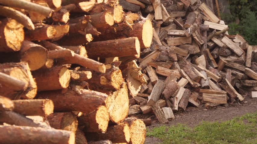 firewood pile slow motion focus