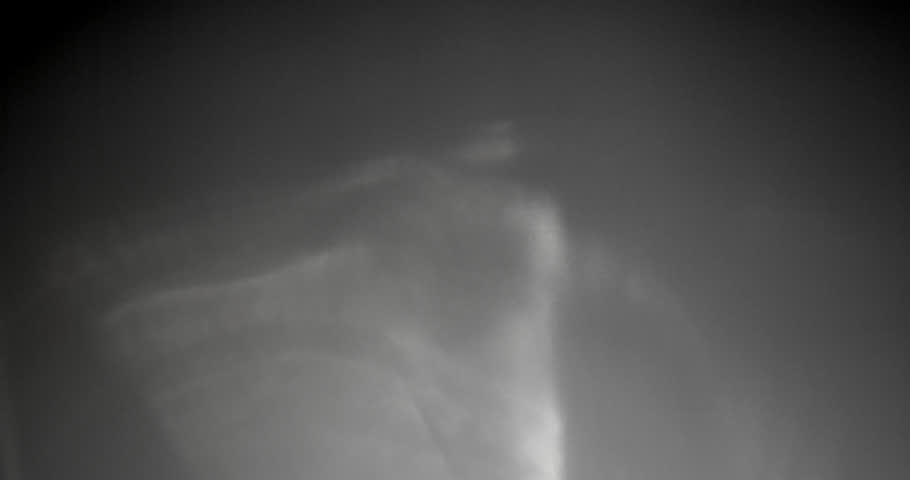 Abstract caustic reflections on black. Can be used as overlay elements for your projects, video texture or background for designs, scenes, etc. 