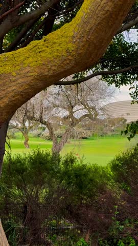 Cape Town, South Africa -2 August 2025 Cape Town stadium