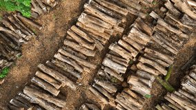Aerial View of Stacked Logs at a Lumberyard Ready for Processing and Transport - Powered by Shutterstock - Get 15% off with code: PIKWIZARD15