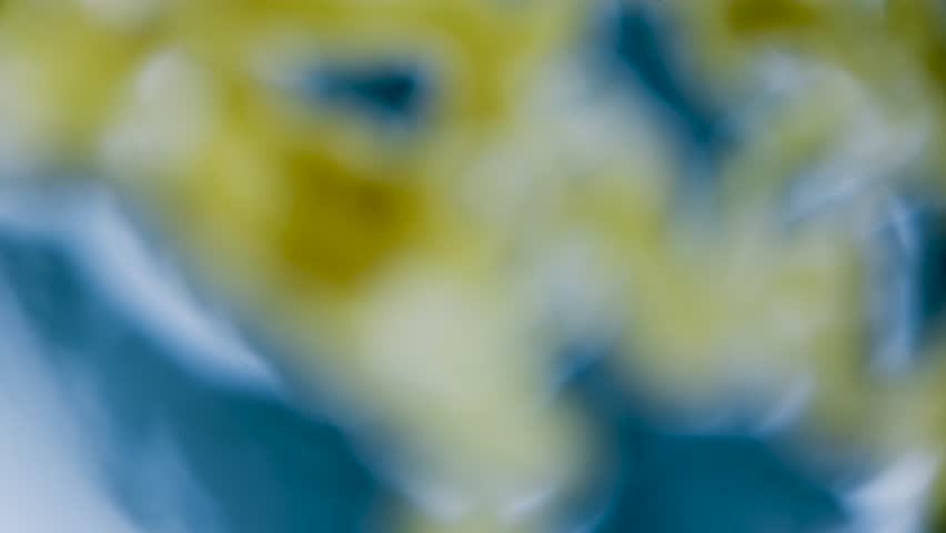 Slime mold plasmodium under microscope