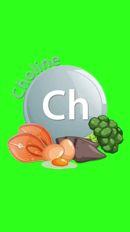 A glossy choline element icon animates as text and illustrated foodsâsalmon, eggs, liver, broccoliâappear around it, set against a vibrant green screen