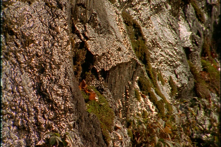 NORTH ADAMS, MASSACHUSETTS - CIRCA OCTOBER 1999: Tilt up cut rock ledge 