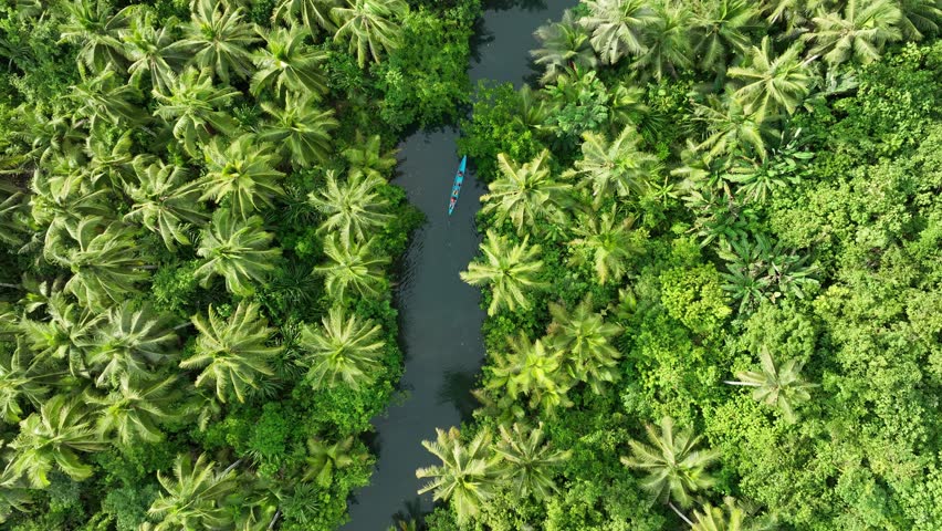 Aerial view of a river winding through a dense forest of vibrant green trees, with a lone boat, Siargao, Philippines.