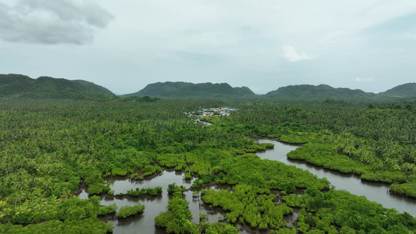 Aerial view of a winding river, cutting a swathe through lush, dense forest and a small village under a cloudy sky, Siargao, Philippines.
