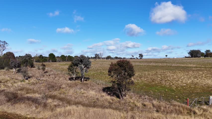 Drone camera glides above open grassland with scattered trees, small ponds, and a large lake under bright daylight and blue sky with clouds