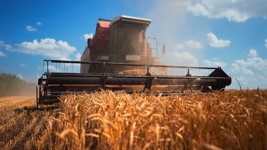 High-tech harvesters collecting rye in sprawling country fields in summer day. Synergy of modern agribusiness and agronomy innovation boosts growth of cereals for food industry in ecological farmland