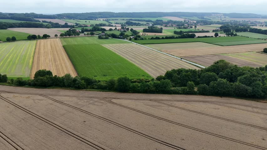 Aerial establishing of agricultural farm fields in different colors near rural highway in USA. Cloudy summer day. Pattern of growing and cultivated fields in America. Wide shot.
