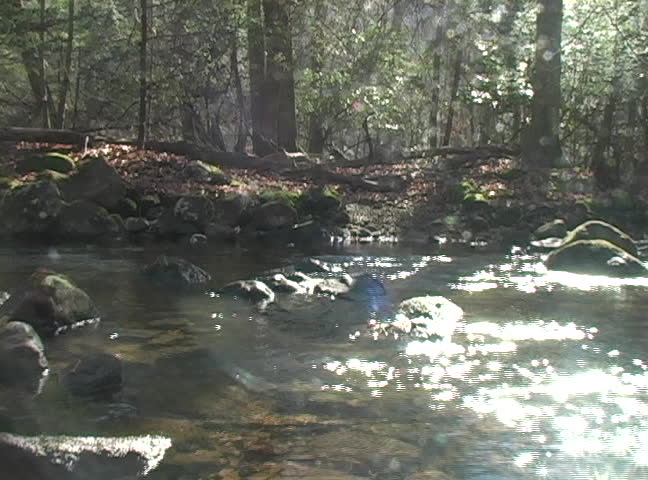 A tributary of the North Fork of the Holston River on a peaceful spring day