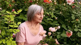 Elderly woman over 80 leans into blooming roses, gently smelling the petals as she gazes into the distance, lost in tender memories. - Powered by Shutterstock - Get 15% off with code: PIKWIZARD15