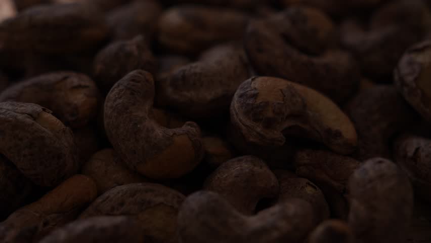 Raw cashew nuts lit by beam of sunlight on dark background