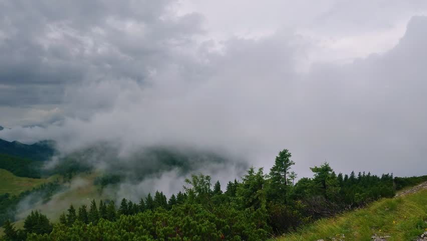 Panorama of Misty Mountains Forest Landscape, Dramatic Cloudy Sky in Rainy Nature