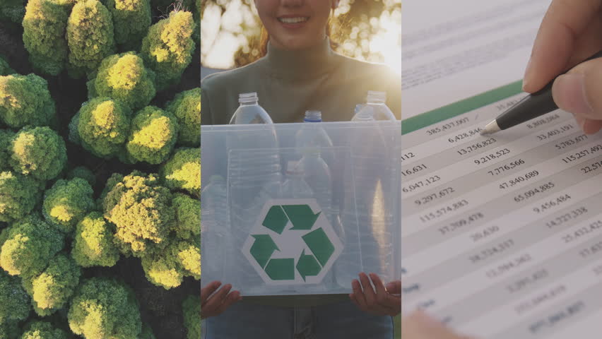 ESG Save the earth planet net zero waste reduce CO2 emission. ESG framework report global care eco growth hope for asian future clean power energy. Ethical office SDGs asia social control protect plan
