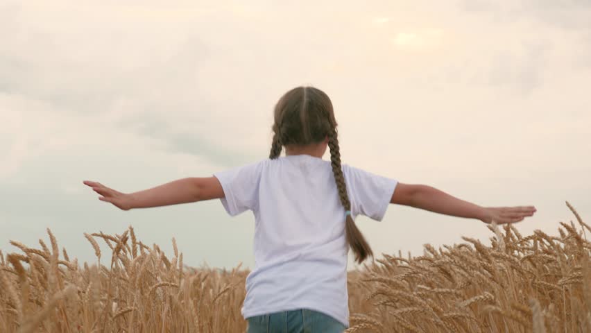 agriculture, wheat field, golden wheat farm field sunset, little girl running across field get married. agriculture. Playing from pilot airplane. My childhood dream fly. View back. concept agriculture