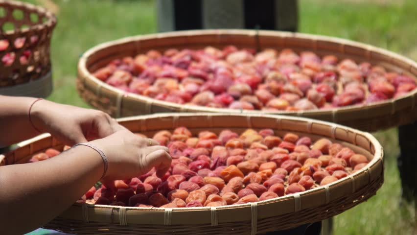 A woman drying pickled plums