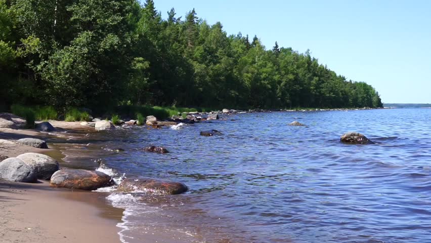 Waves on the shore of a lake against the backdrop of a forest on a summer day