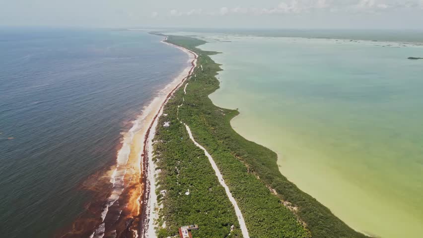 Aerial view of Sian Ka’an Biosphere Reserve in Mexico, showing sargassum-covered beach, jungle road, and vibrant coastal lagoon separated from the Caribbean Sea