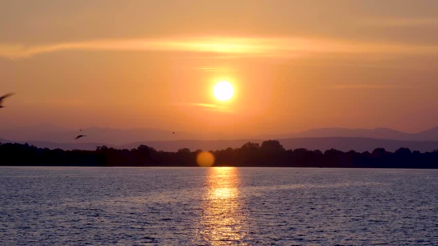 Birds flying home to roost during sunset with orange sky over Parakrama Samudra Lake in Polonnaruwa Sri Lanka
