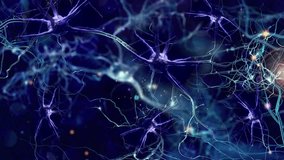 A stunning visualization of the brain at work. Watch as electrical impulses spark and travel between neurons, forming the intricate pathways of our thoughts
Generative AI - Powered by Shutterstock - Get 15% off with code: PIKWIZARD15