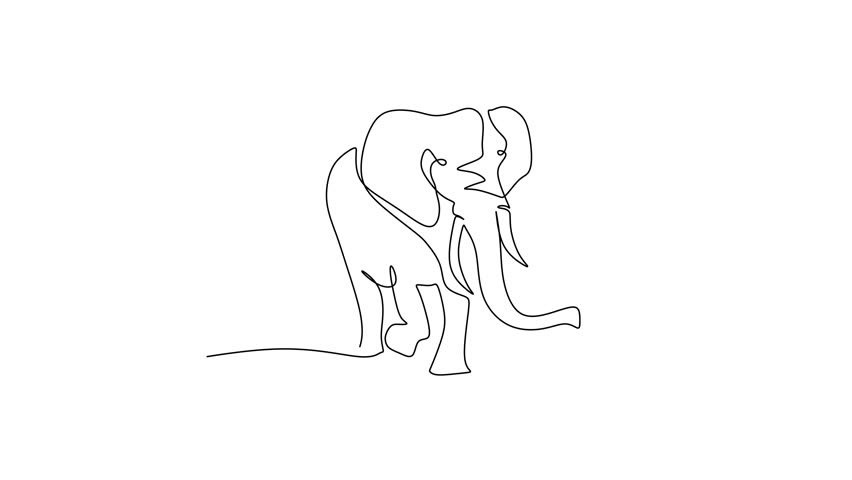A large elephant drawing itself in a continuous line animation. African wildlife and strong safari animal symbol animated video.