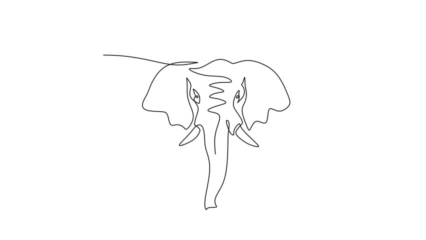 Animated self drawing of a single continuous line forming an elephant head. A concept for wild safari animals and wisdom. Full length one line animation.