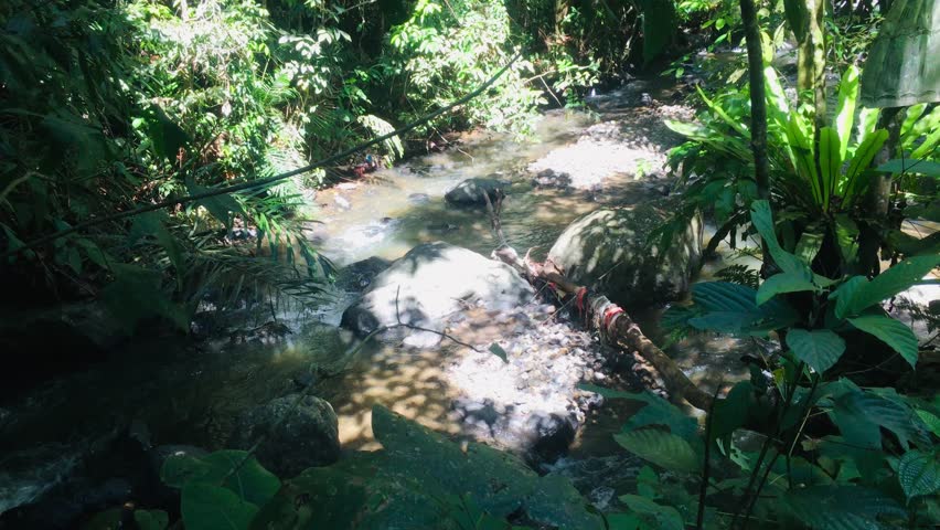 the river water flow looks beautiful.