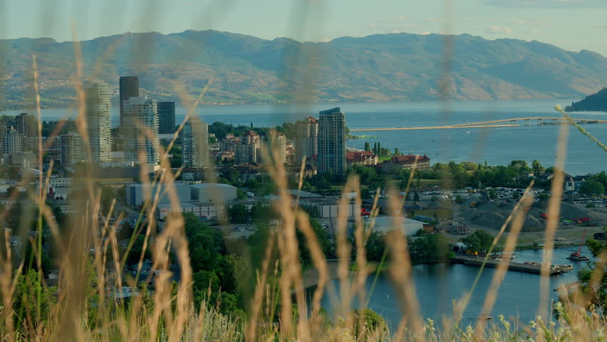Downtown Kelowna British Columbia Canada Okanagan lake high-rise buildings with tall grass foreground slow motion William R. Bennett bridge sunny day summer Knox mountain