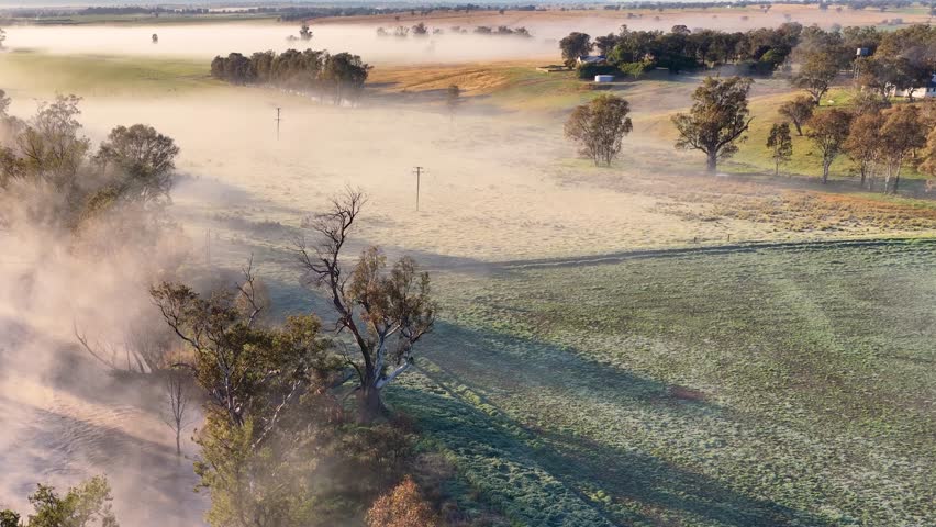 Drone glides above frosty farmland with scattered trees and morning fog, capturing golden sunlight, long shadows, and tranquil countryside atmosphere in New South Wales