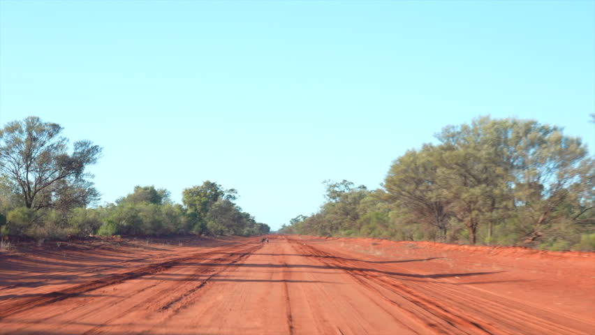 POV shot from car of two kangaroos on the road in the red dirt, Australia
