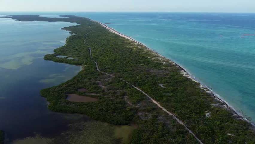 Aerial View Caribbean sea and mangroves at Cancun
