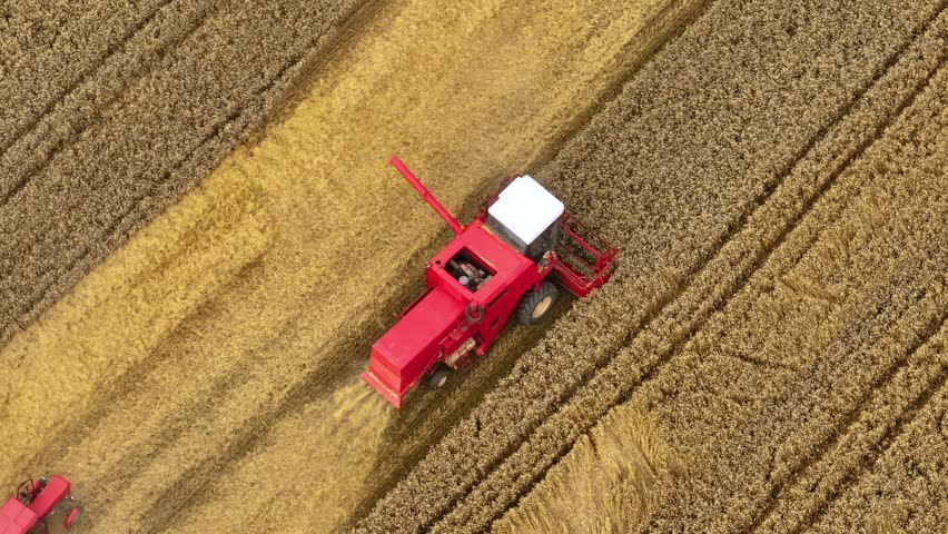 Golden wheat harvest captured from above as combine harvester works the field