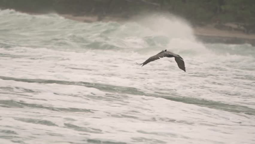 A pelican is captured in mid-flight, gliding low over the foamy white waves of the ocean.