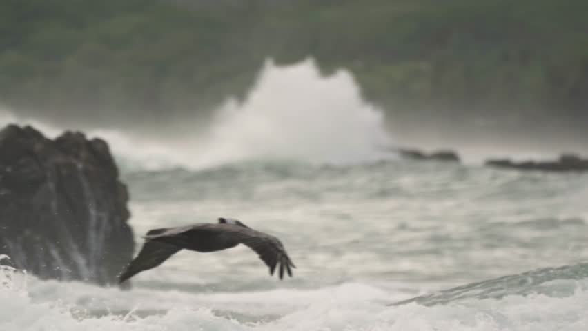 A pelican is captured in mid-flight, gliding low over the foamy white waves of the ocean.