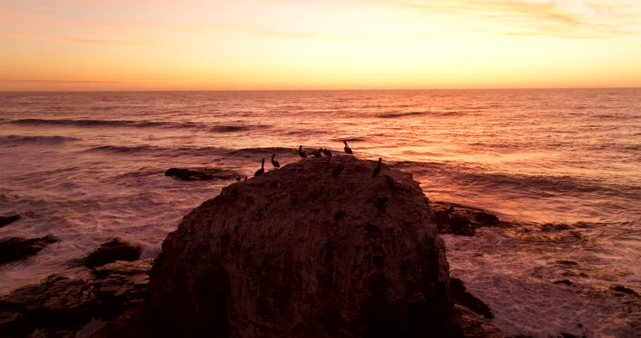 Pelicans perched on round rock on Chilean shoreline during vivid sunset, aerial