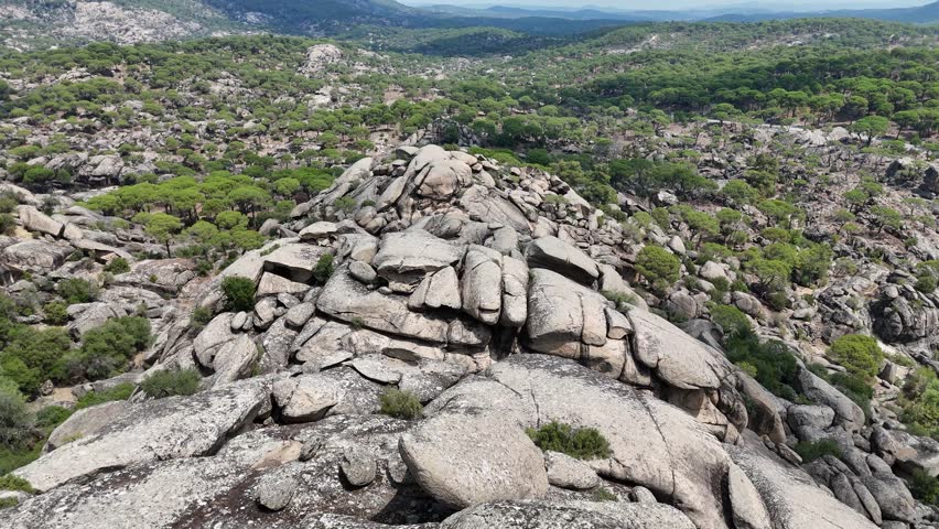 Aerial View of Pine Trees in a Rugged Mountain Landscape	