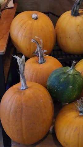 A vertical pan shot showcasing a vibrant assortment of pumpkins and gourds from a farm in Da Lat, Vietnam. The produce is beautifully displayed on wooden shelves and baskets in a cozy cafe