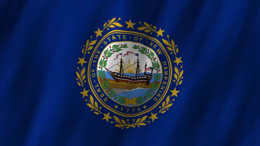 Discover the New Hampshire state flag