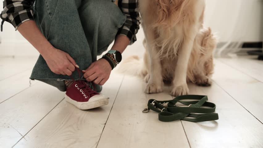 Girl Ties Shoelaces On Sneakers At Home Before Walking With Dog
