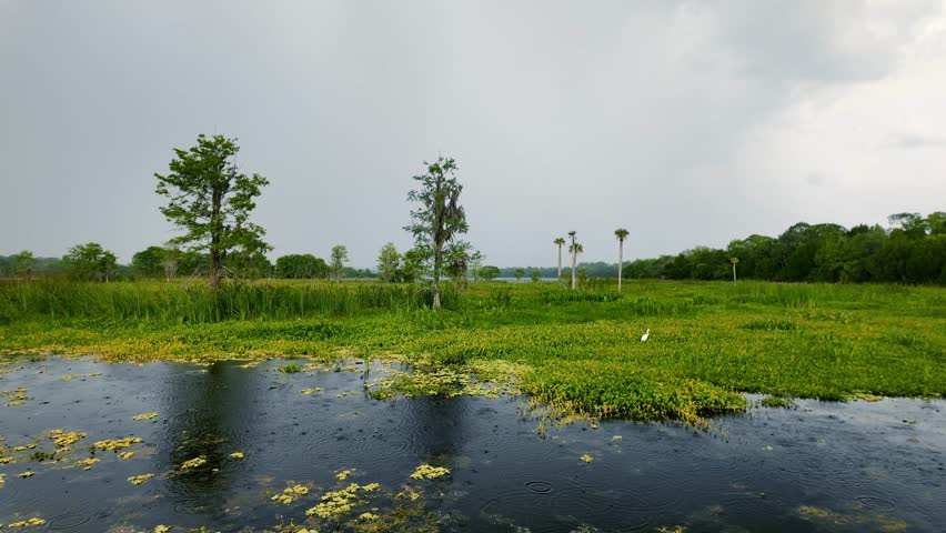 Scenic view of Orlando Wetlands in Florida on a rainy day in summer time.